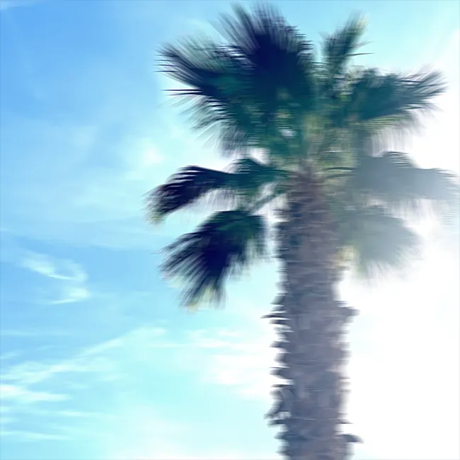 Cover Beach Dreams Track