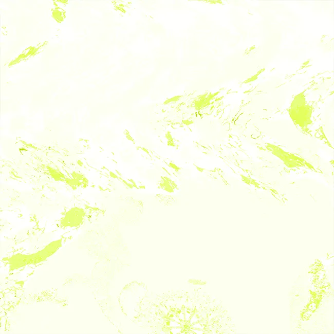 Cover Springtime Track